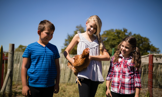 9 reasons why chickens make the best family pets