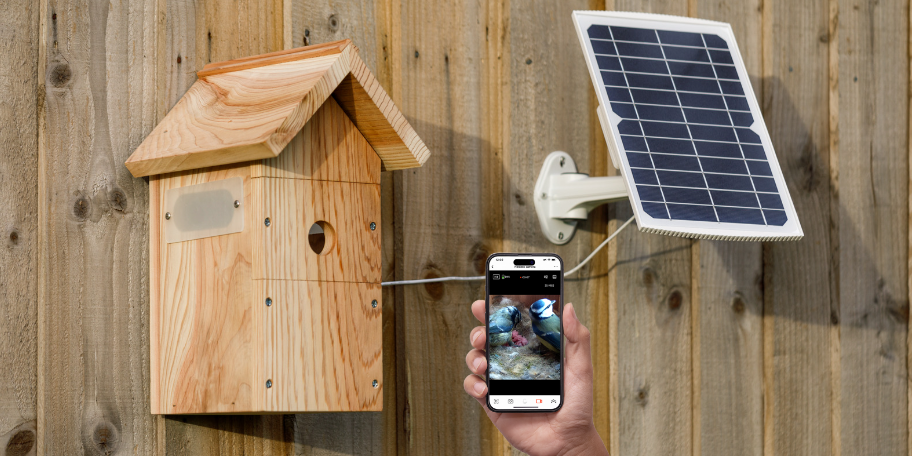 Watch Birds Up Close With Our New Wire-Free Bird Box Camera System
