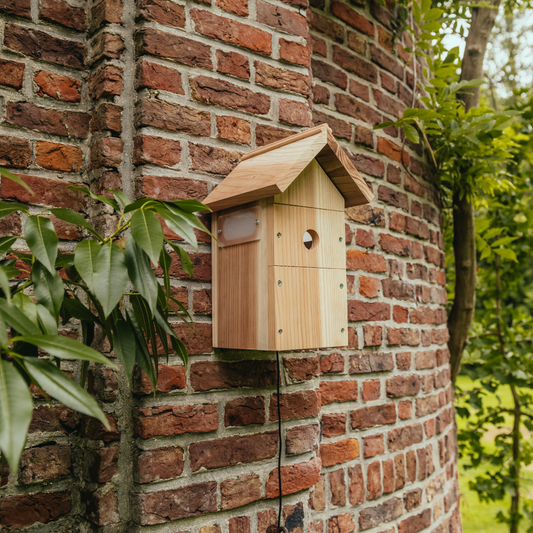 These are the birds that will visit your bird box this season
