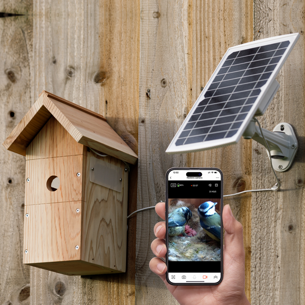 Cámara para cajas de pájaros con batería WiFi y panel solar